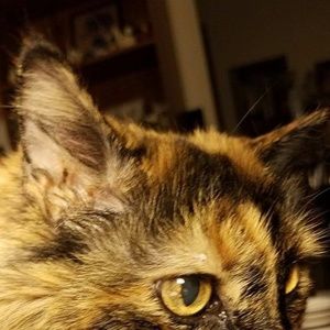 Meet your Posher, Roxanne